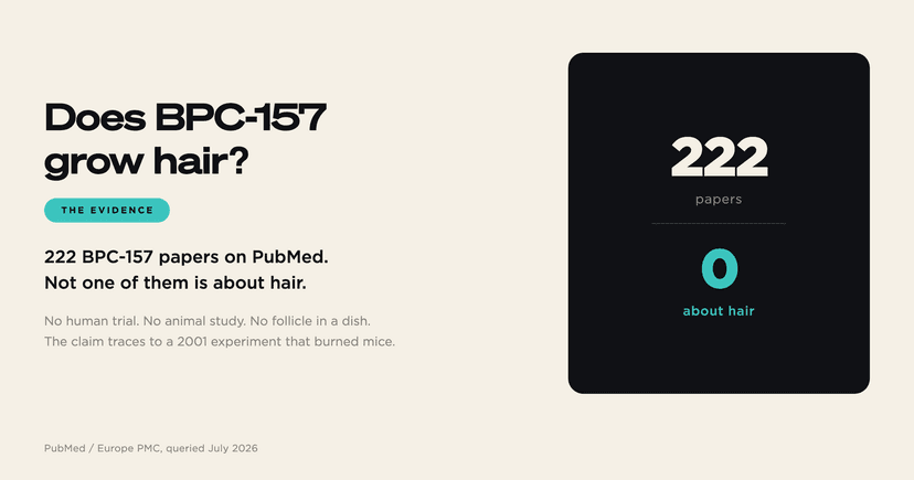 Does BPC-157 grow hair? 222 papers, none about hair