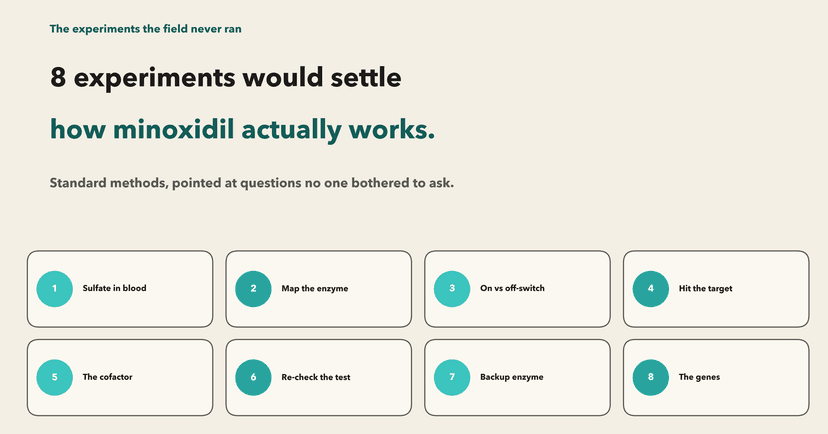 The eight experiments that would settle how minoxidil actually works