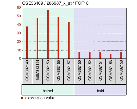 Chart of FGF18 transcription in bald scalp samples compared with occipital scalp