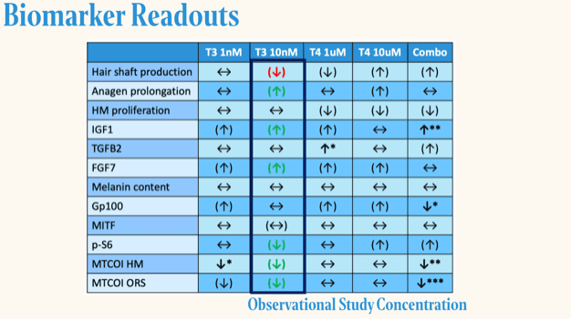 Biomarker readouts table across T3 1 nM, T3 10 nM, T4 1 µM, T4 10 µM and the combination, for hair-shaft production, anagen prolongation, hair-matrix proliferation, IGF1, TGFB2, FGF7, melanin content, Gp100, MITF, p-S6, MTCOI in hair matrix and MTCOI in ORS. T3 10 nM (the observational-study concentration) is highlighted: anagen prolongation up, FGF7 up, IGF1 up, p-S6 down, MTCOI down in both hair matrix and ORS, hair-shaft production down.