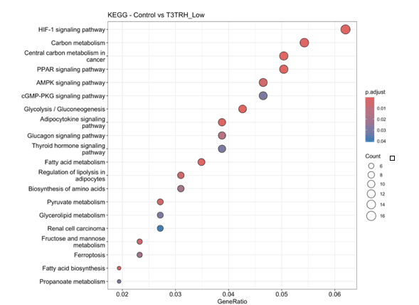 KEGG pathway enrichment dot plot, control versus T3TRH_Low, ranked by gene ratio. Enriched pathways include HIF-1 signaling, carbon metabolism, central carbon metabolism in cancer, PPAR signaling, AMPK signaling, glycolysis/gluconeogenesis, thyroid hormone signaling, fatty-acid metabolism and ferroptosis; dot size encodes gene count and color encodes adjusted p-value.