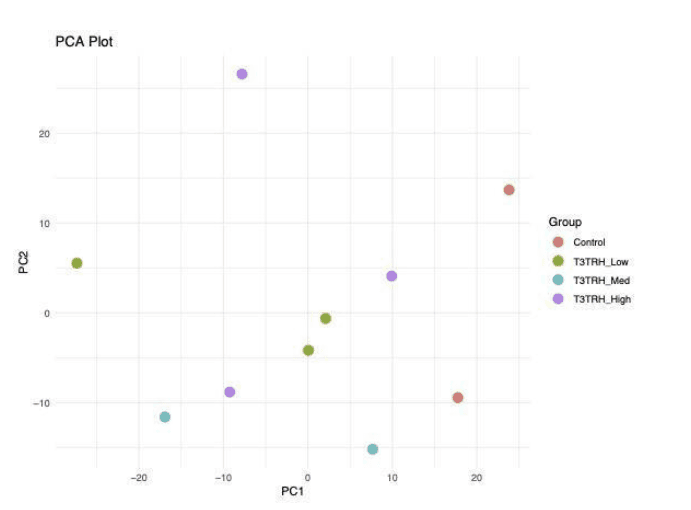 PCA plot of T3 plus TRH-treated human follicular units by group: Control, T3TRH_Low, T3TRH_Med and T3TRH_High, plotted on PC1 versus PC2. The control replicates sit apart from the treated doses, indicating treatment-driven separation.